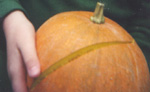 Harpal's split pumpkin